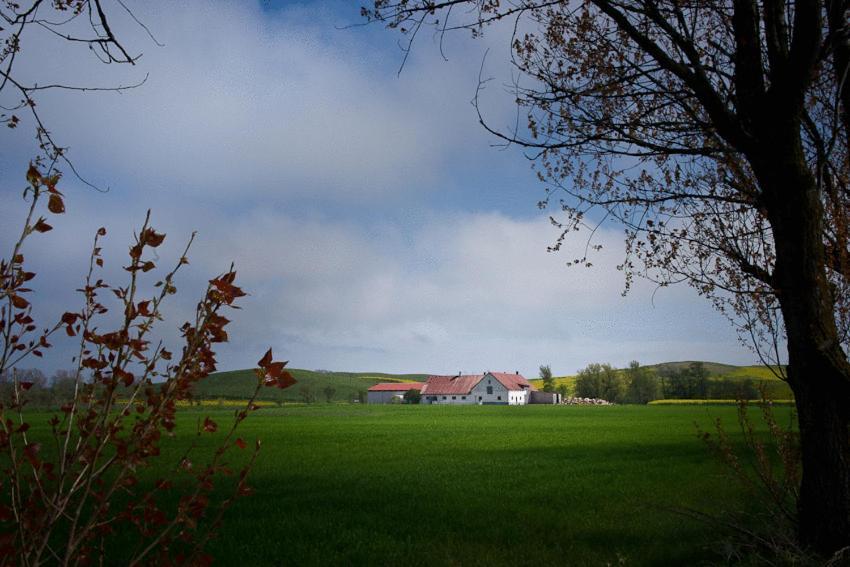Bed & Breakfast Vinkille Loderup Exterior photo